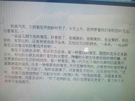 描述菊花外观的段落