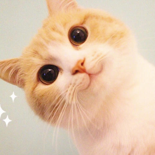 30条生活小窍门，懂了就会开心