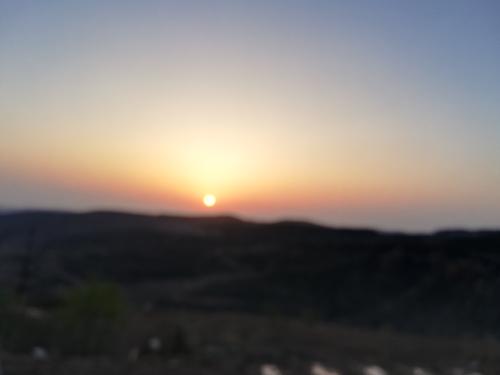 张小峰：幸运的是