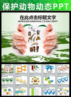 保护野生动物的口号