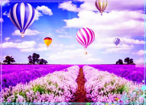 漂亮的句子描述小草