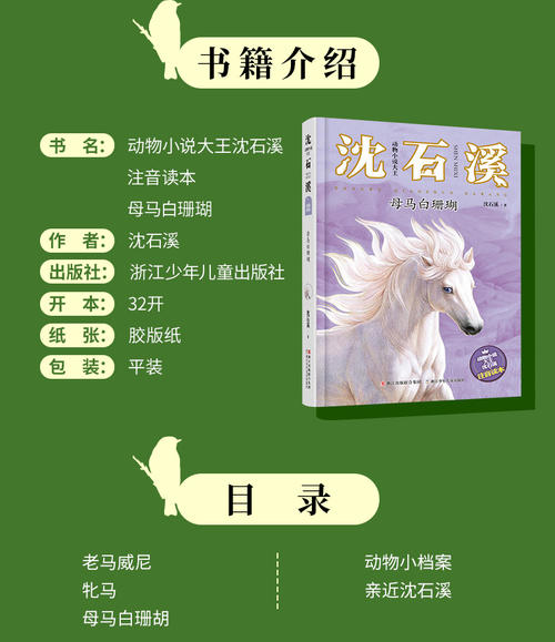 老马维尼读书后的想法