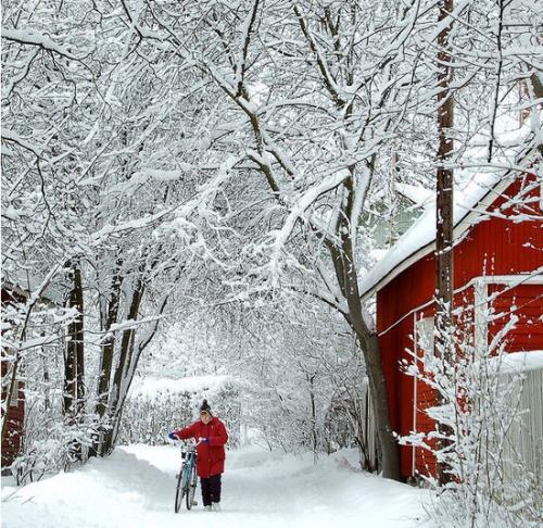 关于描述冬天的寒冷的一句话