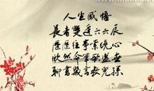 精美语句300字