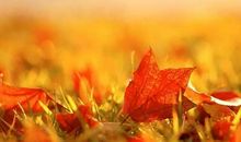 张晓风：秋天·秋天