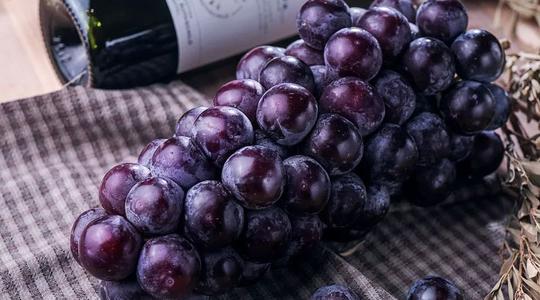 关于未成熟葡萄的寓言词