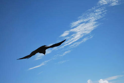 对我自己来说，这段话永不过期