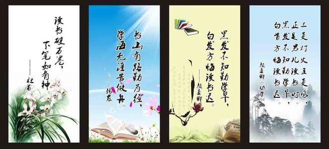 赞美智慧的名言