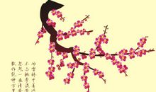 赞美梅花的诗