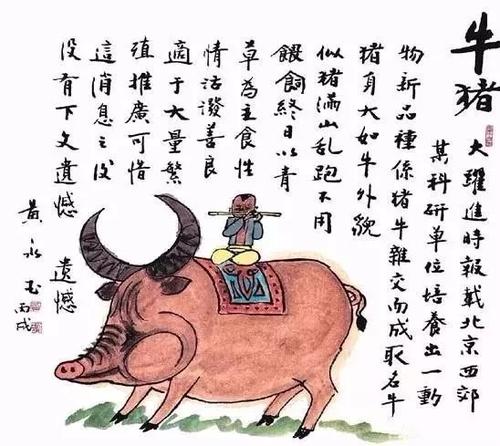 关于葱猪鼻的寓言