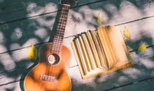 经典语录：你懂得越多，懂你的就越少