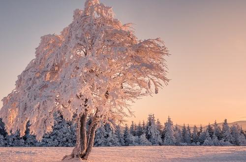 绕行弯路的人很聪明