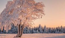 把弯路走直的人是聪明的