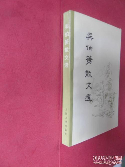 吴伯孝：黑点和红点