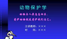 保护动物宣传标语