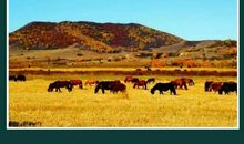 上学是人生的“入场券”，别总把苦和累挂在嘴边