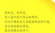 描写智慧的句子