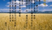 海子：麦子熟了