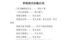 有关唱歌的歇后语