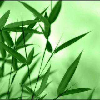 Haizi：明天起床时我应该穿哪只鞋