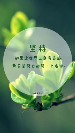 吉米的经典句子