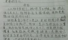 写给父母的一段话