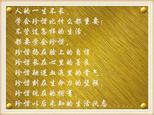 珍惜现在的句子