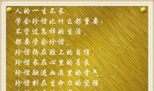 珍惜现在的句子