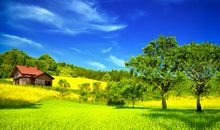 描写大自然风光的句子