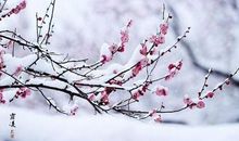 王安石：梅花