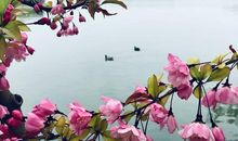 晁冲之：春日·阴阴溪曲绿交加