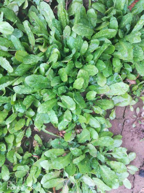 张小峰：四种眼睛