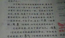 枯叶蝴蝶读后感