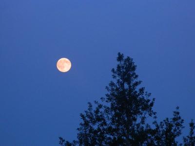 一段描述月光的段落