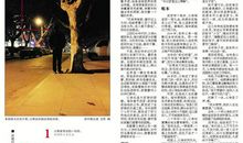 我的父亲母亲作文