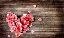 2015情人节最伤感的句子