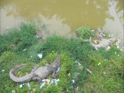 游光明农场组成