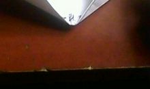 汪国真：叠纸船的女孩