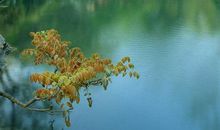 坚韧比聪明更重要