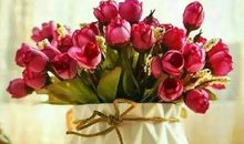 关于早上好的句子