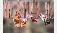 有些事经历了才懂得