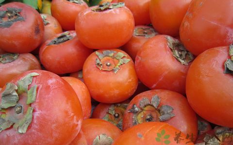 关于在深夜吃柿子的寓言