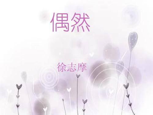 徐志摩：事故与鉴赏