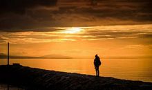 人生就是一场场苦痛的奔赴