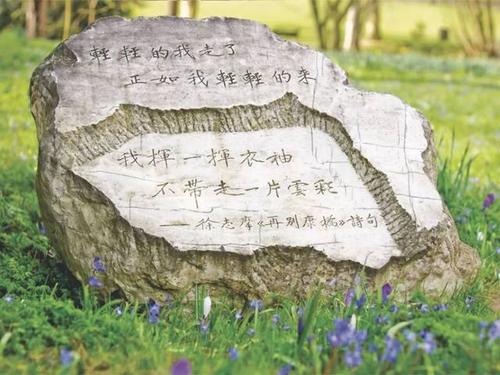 徐志摩：我不知道风