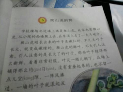 形容人眼的句子