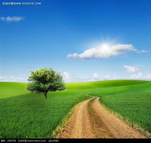 一个很好的句子描述春天