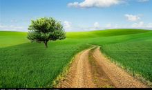 描写春天田野的好句