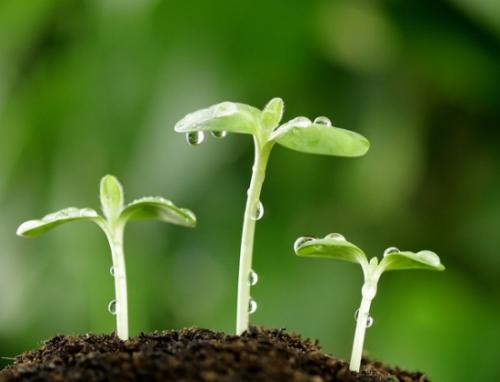 描写自然的古诗