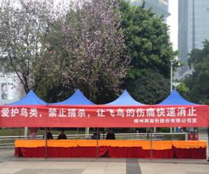 保护鸟类的口号